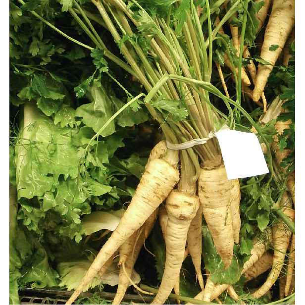 Culina Botanica Pastinák setý