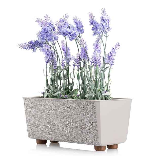 HowHomely Truhlík s nožičkami Salvia 28,5x17 cm taupe hnědý