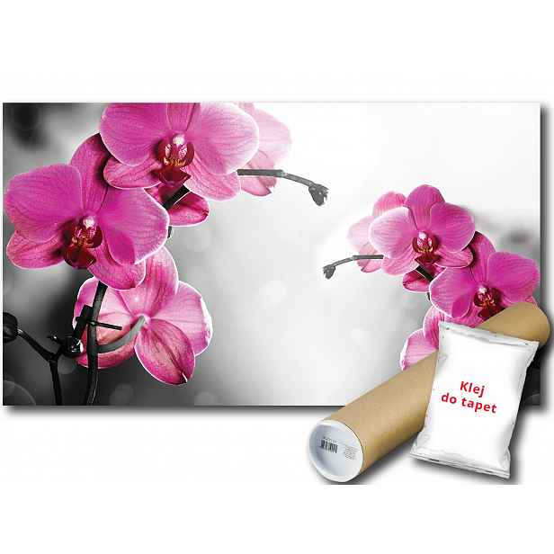 Fototapeta Růžové Orchideje 9D F2XL 312x219 F1034