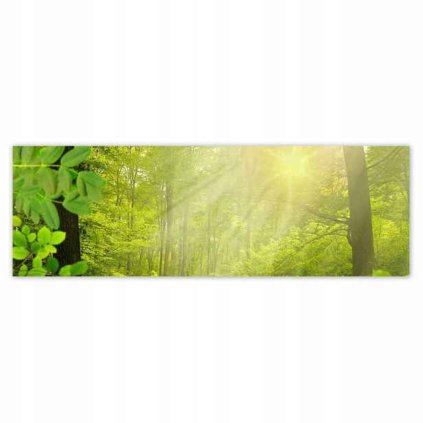 Plakáty 200x66 Magický les Paprsky