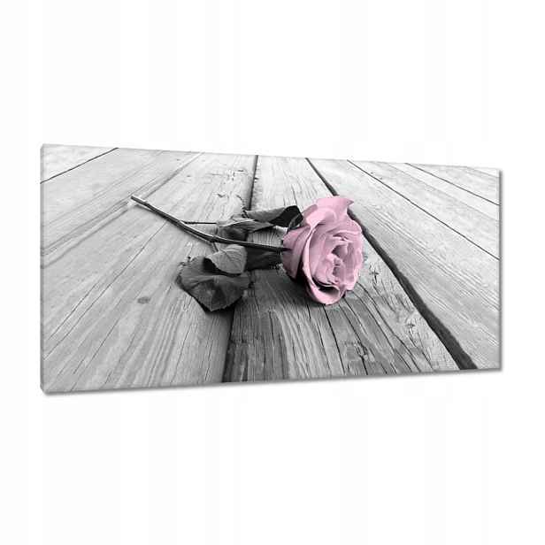 Obrazy 115x55 Pudrová růžová Old pink Rose