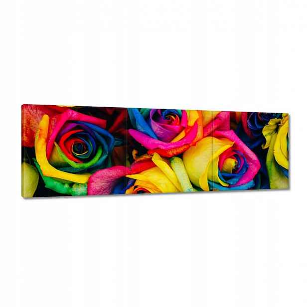 Obrazy 120x40 Barevné růže Květiny