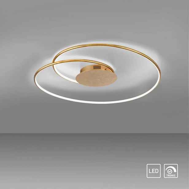 Závěsná lampa Paul Neuhaus Nastro 1 body světla, integrovaný Led zdroj