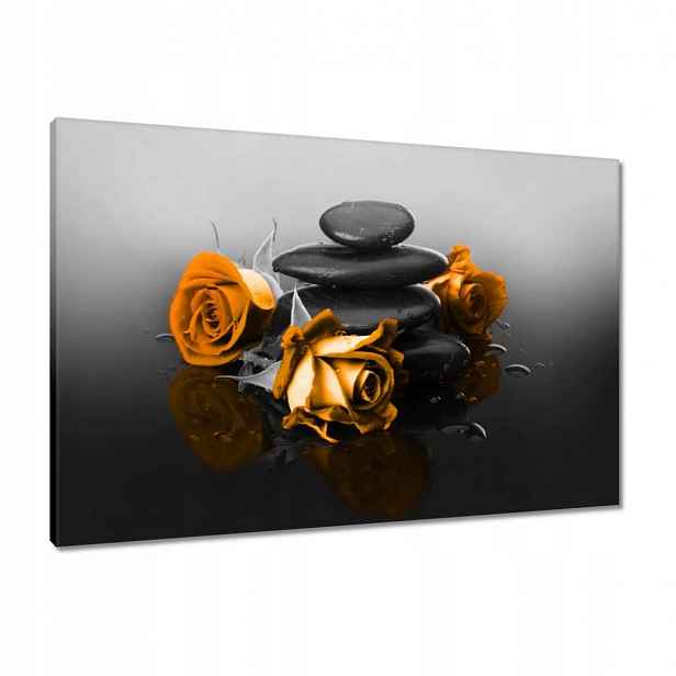 Obrazy 90x60 Oranžová růže Spa