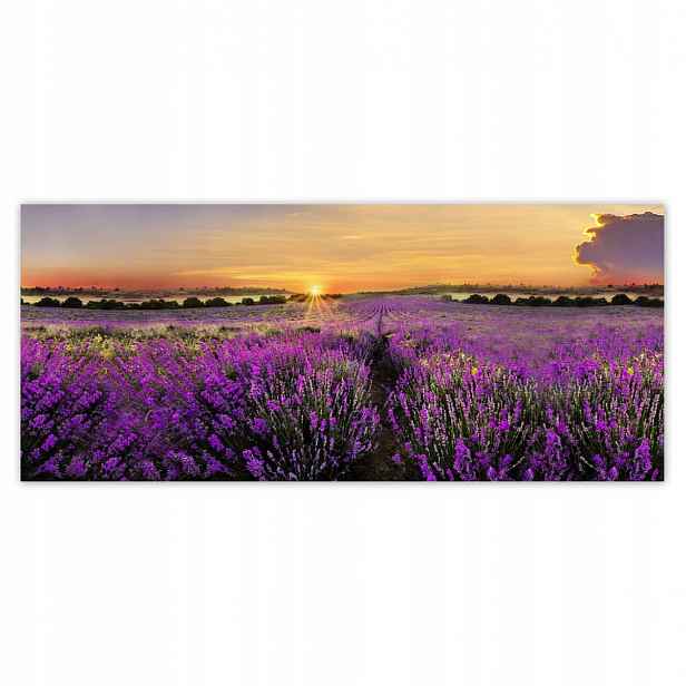 Fototapety 211x91 Levandule Západ slunce