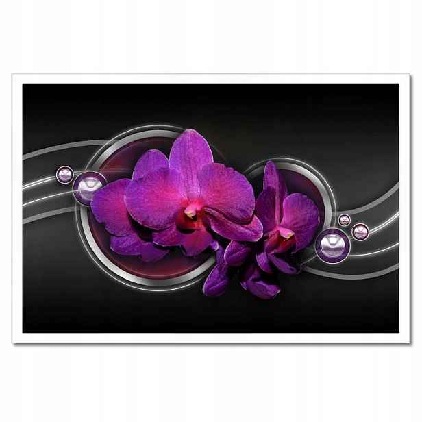 Plakáty v rámu 60x40 Fialová orchidej