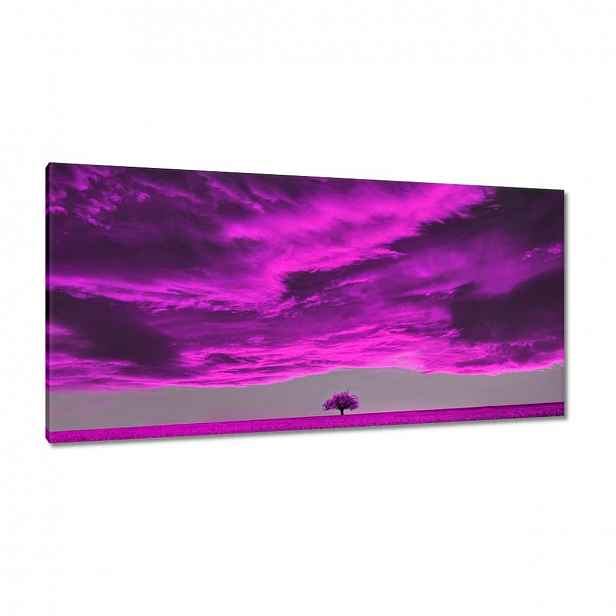 Obrazy 115x55 Fialová krajina