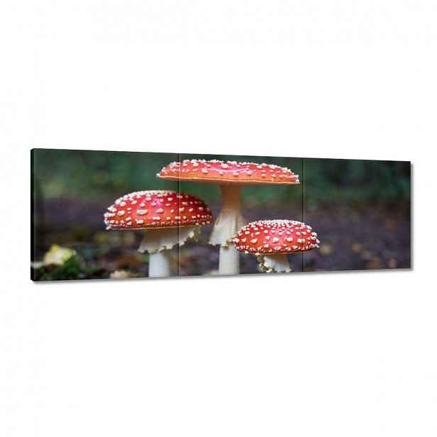 Obrazy 120x40 Makrofotografie MacroFoto