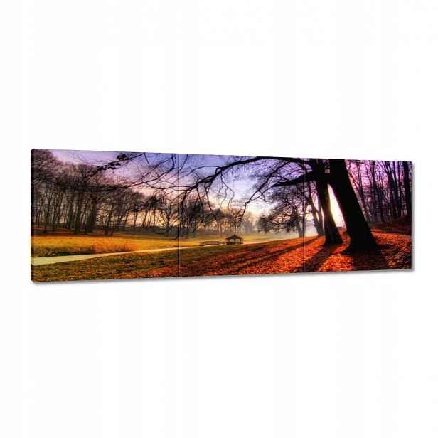 Obrazy 120x40 Park v Wąsowie