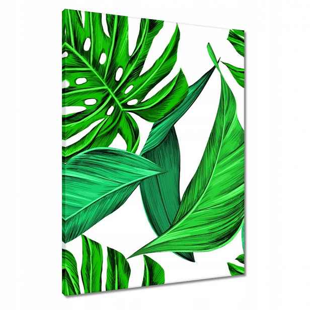 Obrazy 60x80 Šťavnatá Monstera Tropiky