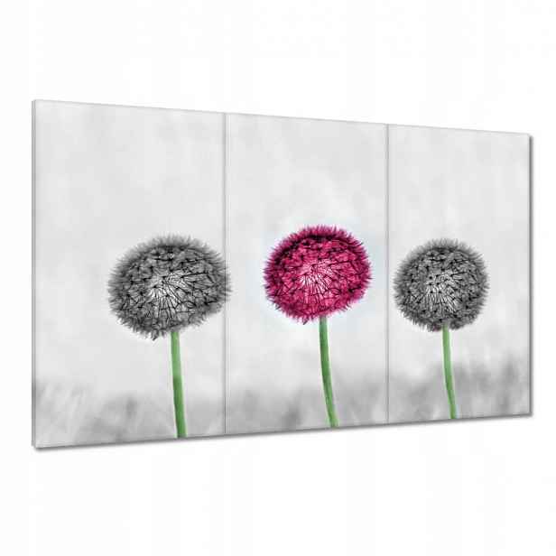 Obrazy 120x80 Růžový pampeliška Květina