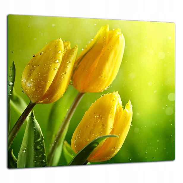 7v1 Skleněná Ochranná Deska Lepicí Panel 65x60 Tulipány