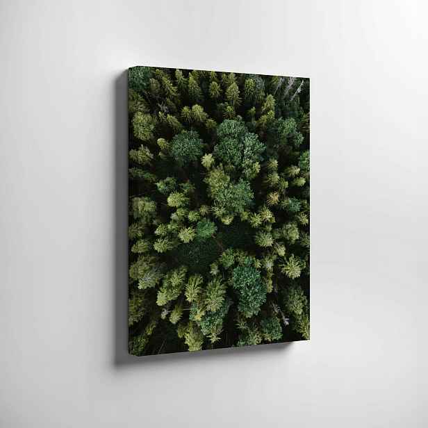 Obraz na plátně Les příroda na zeď 70x50 cm