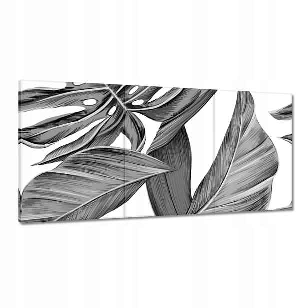 Obrazy Monstera 120x60 v šedé barvě