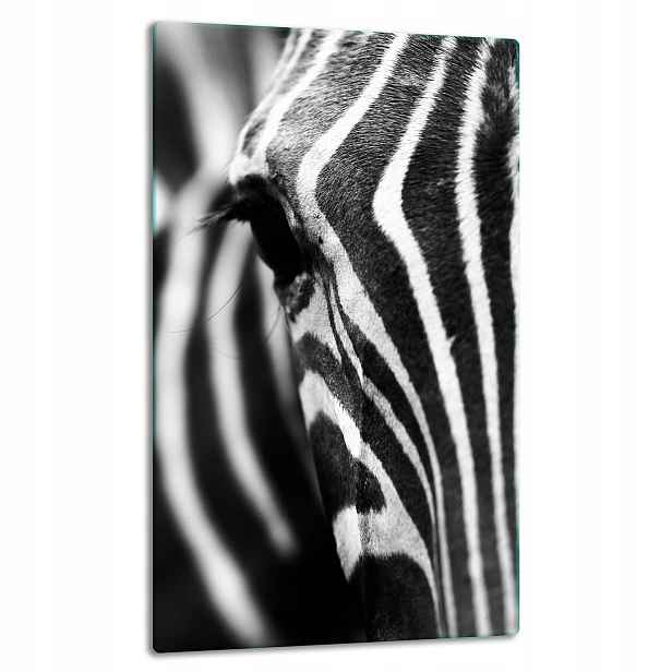 7v1 Skleněná Deska Panelová Deska 30x52 Zebra