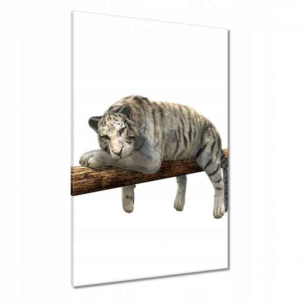 Obrazy 80x120 Bílý tygr na trámu