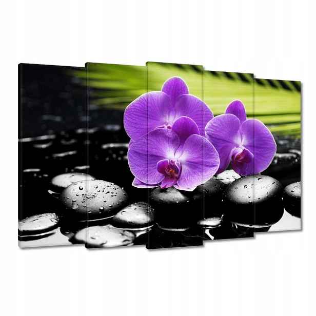 Obrazy 150x95 Fialové orchideje