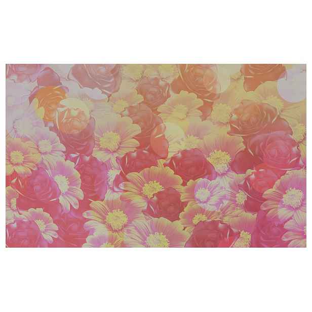 Fototapeta Květiny Růžové Abstraktní Floral Pastelové 254x184 lepidlo