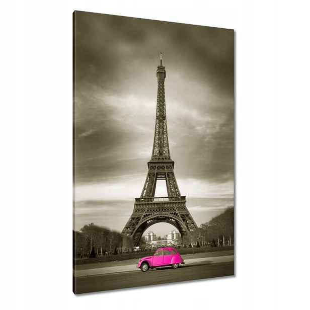 Obrazy 80x120 Růžový Citroen v Paříži