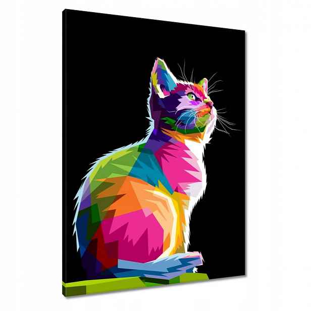 Obrazy 60x80 Abstraktní kočka