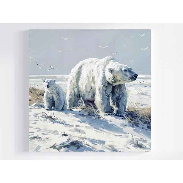 Obraz Na Plátně Canvas Polární Medvěd Bílý Medvídek Zima Pól 50x50