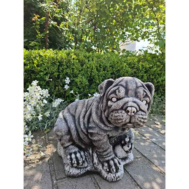 Betonová figurka Pes Shar Pei figurky z betonu pejsek dekorace
