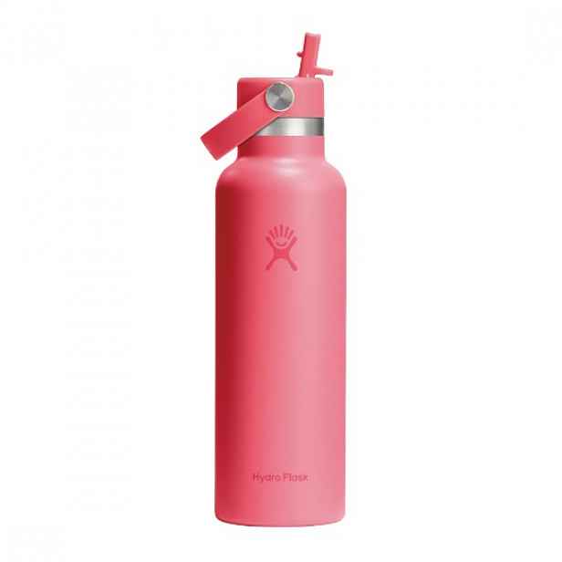 Termoizolovaná láhev, nerezová ocel, 620 ml, "Standard Straw", Popstar