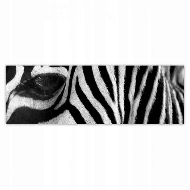 Plakáty 200x66 Černobílé pruhy Zebra