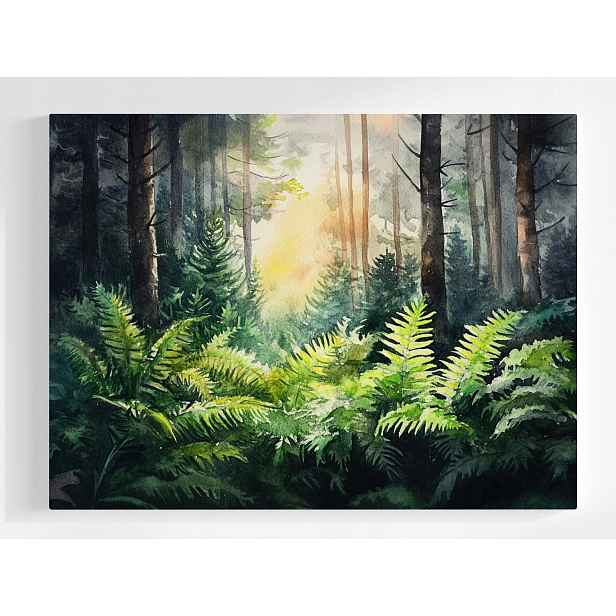 Plakát Akvarel Krajina Les Stromy Kapradina Vegetace 100x75