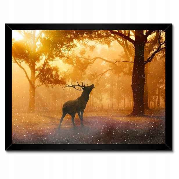 Plakáty v rámu 40x30 Jelen v lese