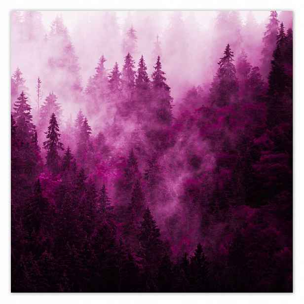 Fototapety 208x208 Krajina růží Hory Mlha
