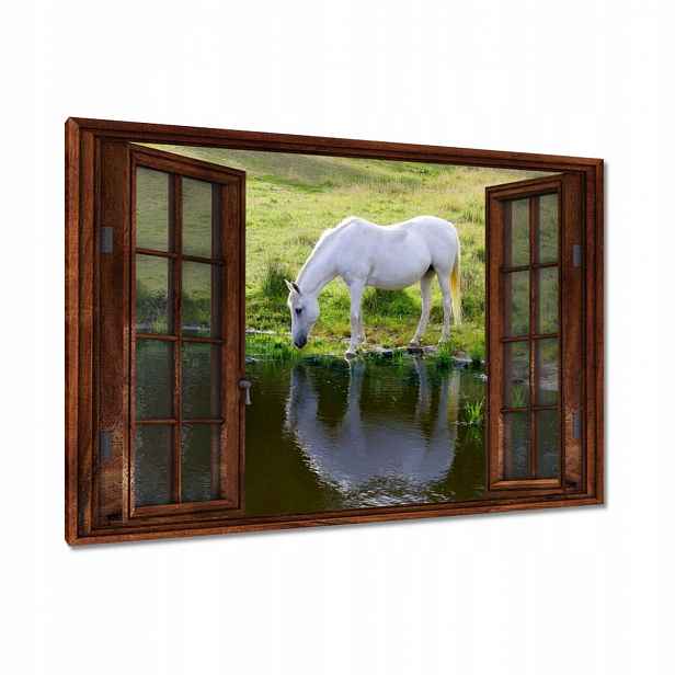 Obrazy 90x60 Bílý kůň