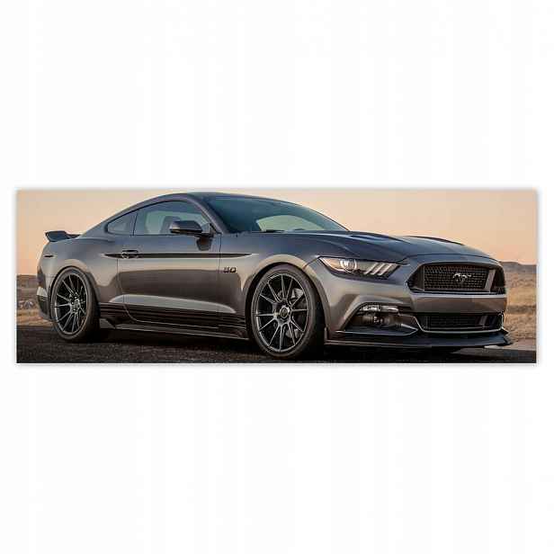 Fototapety 312x104 Ford Mustang vyrobené v Usa
