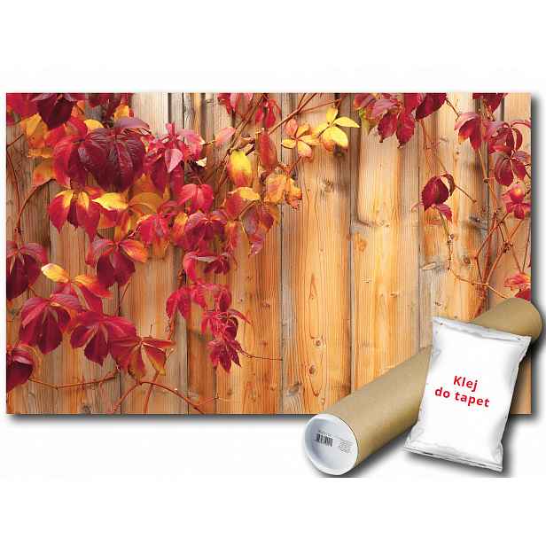 Fototapeta Dřevo Vinná Réva 6B F2XL 312x219 F189