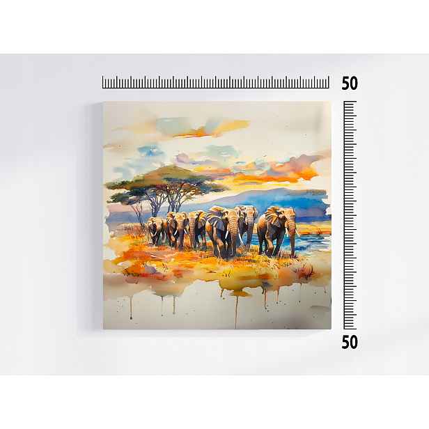 Obraz Na Plátně Canvas Slon Stádo Putování Procházka Afrika 50x50