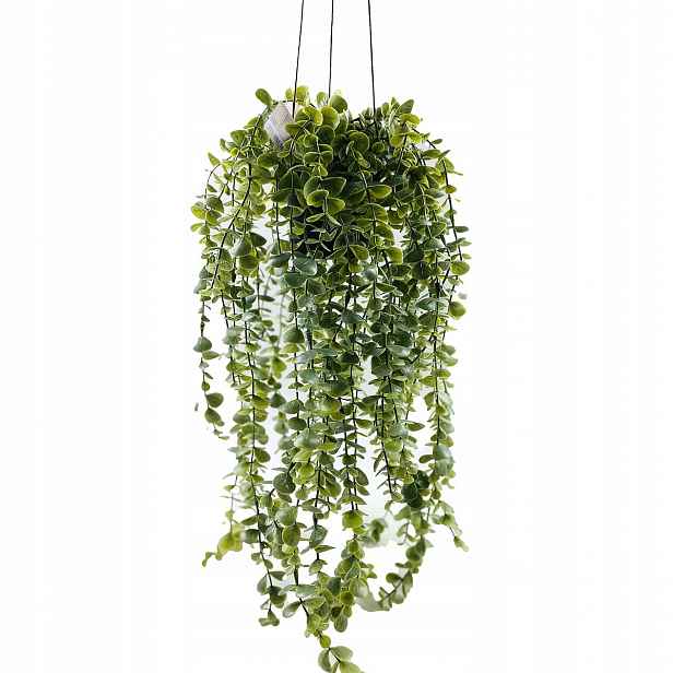Umělá rostlina Senecio, závěsná, 60 cm