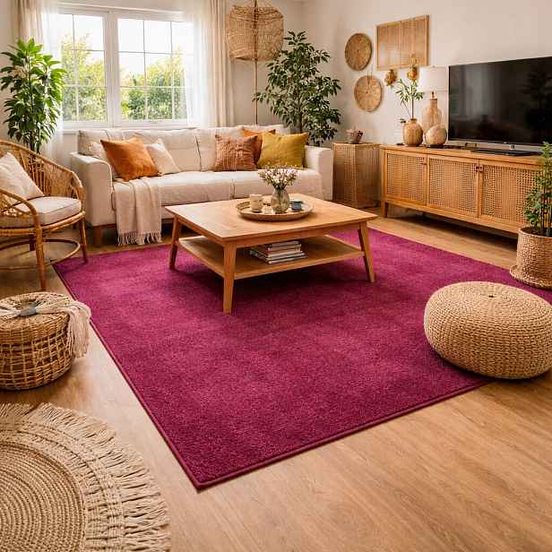 Kusový koberec Eton fialový 48, 160x240, fialová, chodba / předsíň, Vopi
