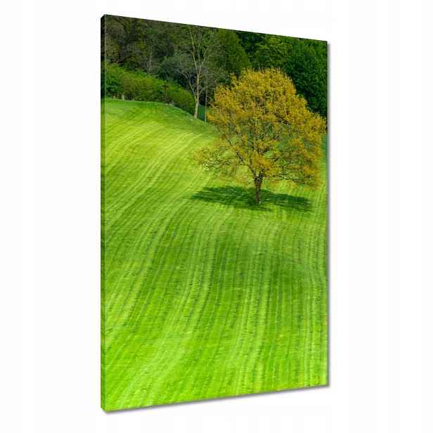 Obrazy 60x90 Golfové hřiště