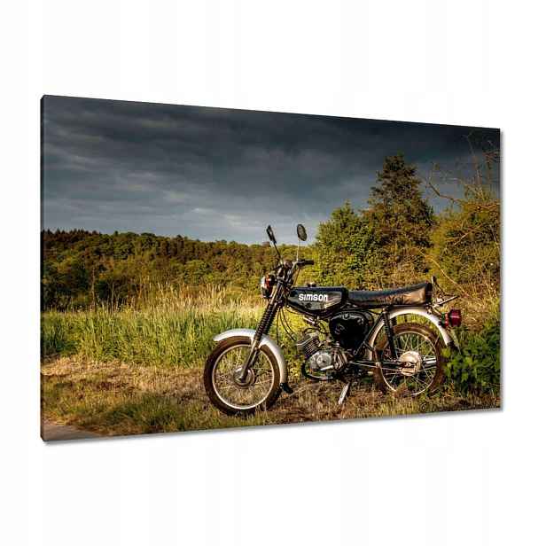 Obrazy 120x80 Černý Simson čtyřka 4