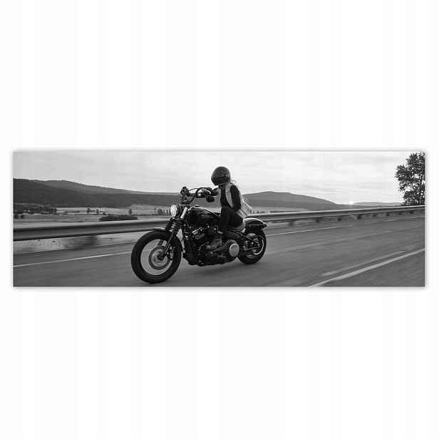 Plakáty 200x66 Harley Davidson Motocykl