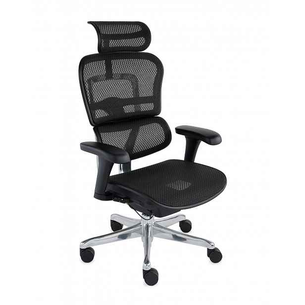 Grospol - Kancelářské křeslo Ergohuman 2 Basic BS Black
