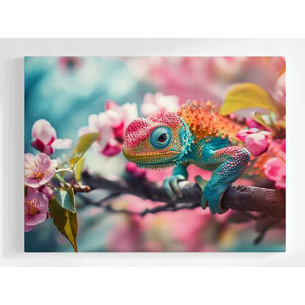 Plakát Příroda Barevný Chameleon Ještěrka 100x75