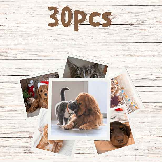 TEMU Hromadné 10cm magnety na lednici na zakázku, sada 30 ks, personalizované magnety na lednici s vlastní fotografií, magnety s plnobarevným tiskem