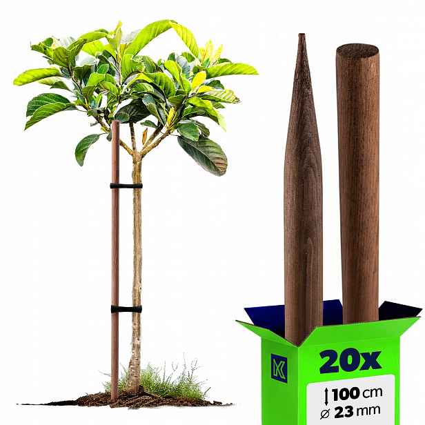 20 x Dřevěné Rajčatové Tyče 100 cm Impregnované Podpěry Na Stromky 23 mm