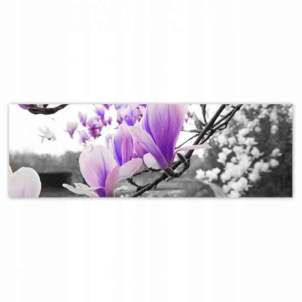Plakáty 200x66 Magnolie Květiny
