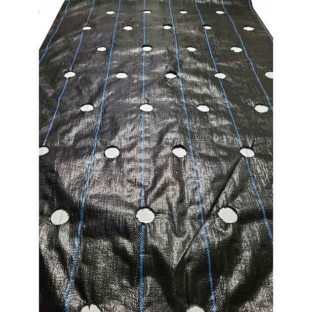 Agrotextilie s otvory pro sazenice, 5 řad, 110 cm