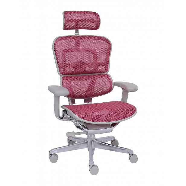 Grospol - Kancelářské křeslo Ergohuman 2 Elite GS Pink