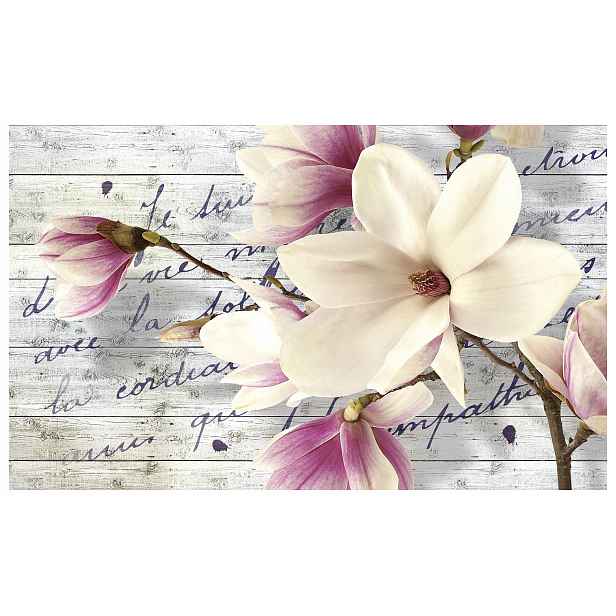 Fototapeta Magnolie na dřevěném pozadí růžový jemný květ 312x219 lepidlo