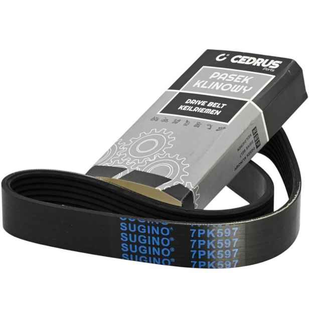 Řemen Pohonu Kultivátoru Jízdy Vpřed Cedrus GLX-GT65 24 MMX621 MM