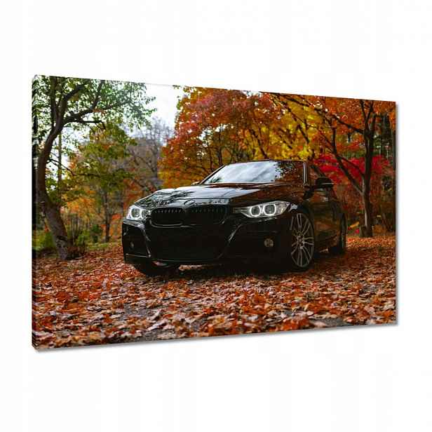 Černé obrazy 90x60 Bmw Podzim